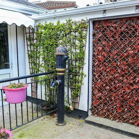 Urban Nest Townhouse Oda ve Kahvaltı Galway